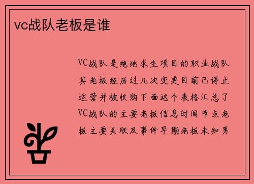 vc战队老板是谁